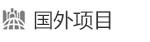 國外項目